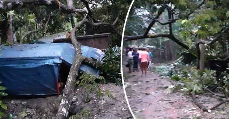 Bangladesh: Maximum wind speed of Bulbul was in Khepupara